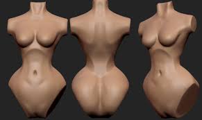 Arthur J Anatomy Study Sketch Female Torso Stylized But if i get enough interest, i will post more, and if i get any tip jar funds i might be able to afford to hire more models with different body types etc. arthur j anatomy study sketch female
