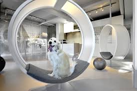 A R E Association For Retail Environments Dog Spa Spa Interior Dog Hotel