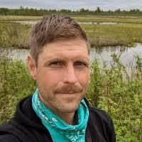 70+ "Kolasa" profiles