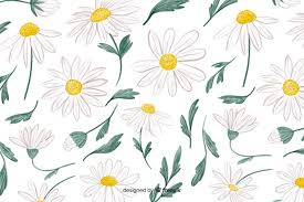 Baixe Fundo Floral Com Margaridas Em Aquarela Gratuitamente Fondo Floral Fondo De Pantalla Del Ordenador Portatil Fondos Para Teclado