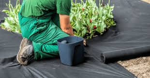 Maybe you would like to learn more about one of these? Dewitt P3 3 By 250 Foot 5 Ounce Pro 5 Weed Barrier Fabric Weed Barrier Fabric