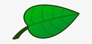 Leaf leafs leaves floatingleaves swirls golden drawing free transparent clipart clipartkey. Green Leaf Clipart Amp Look At Green Leaf Clip Art Jack And The Beanstalk Leaves Transparent Png 600x319 Free Download On Nicepng