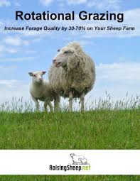 We did not find results for: Sheep Fencing Guide Sheep Fence Options Ideas Cost Estimates