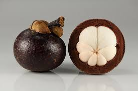 Image result for Garcinia punctata
