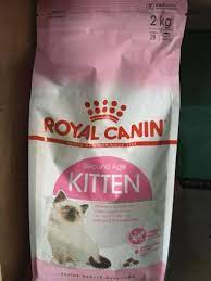 Harga makanan kucing bervariasi, mulai 3ribuan saja hingga jutaan rupiah. Jual Royal Canin Kitten Terbaru Harga Murah Blibli Com