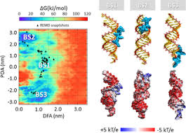Maybe you would like to learn more about one of these? Free Energy Landscape Of Sirna Polycation Complexation Elucidating The Effect Of Molecular Geometry Polymer Flexibility And Charge Neutralization