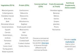 What should you feed your turtle? What Do Red Eared Sliders Eat Quora