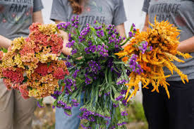 Best flowers for cutting garden zone 6. Top Annuals For The All Season Cutting Garden Here By Design