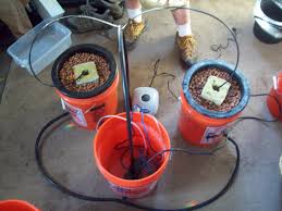 How To Make A Multiple Bucket Top Feed Hydroponic Grow System 6 Steps Instructables