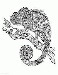 Chameleon coloring page for adults. Chameleon Coloring Page For Adults Coloring Pages Printable Com
