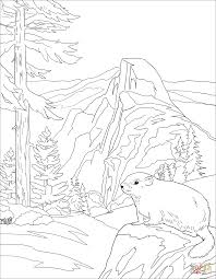 Yosemite National Park Coloring Page Free Printable Coloring Pages Coloring Pages Free Printable Coloring Pages Free Printable Coloring