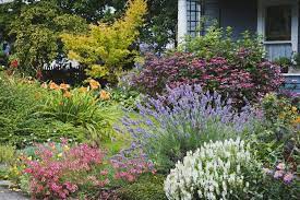 No garden will be zero maintenance but most gardening activities have a lower input solution or alternative to consider. 17 Landscaping Ideas For A Low Maintenance Yard