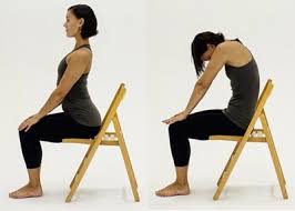 Cat cow pose, bitilasana marjaryasana, chakravakasana, cat and cow. Chair Yoga Cat Cow Stretch