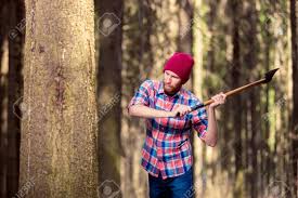 Um die besten ergebnisse zu erzielen, entfernen sie alle rindenschichten in einem kreis um den baum und schneiden sie sie mit einem beil oder einer axt etwa 1,5 zoll tief. Fokussierter Holzfaller Mit Einer Axt Die Einen Baum In Den Wald Schlagt Lizenzfreie Fotos Bilder Und Stock Fotografie Image 97126520