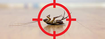 Unverified coupons for do my own pest control. Diy Home Remedies For Cockroach Control Godrej Hit