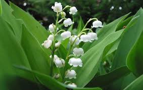 Nous vous en avions déjà parlé dans les clips du mois de mars, mais voilà : Jours Feries Mai 2019 Dates Des 3 Longs Week Ends