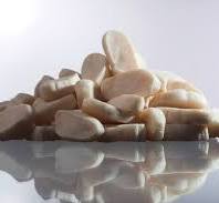 BAYPREN® RUBBER PRODUCT PORTFOLIO