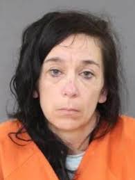 ELDRED WOMAN SENTENCED FOR HINDERING APPREHENSION OF A FUGITIVE AND DRUG  DELIVERY