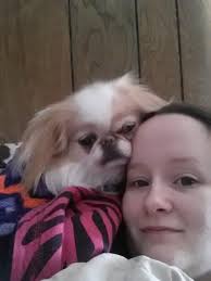 Ok so Jasmine is sleeping so I was able to get a pretty decent pic..... she  3/4 dach and 1/4 chih