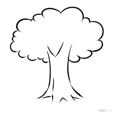 Instead i am thinking of what kind of 'texture' or pencil stroke i can use to represent that bundle of leaves. 525x525 Easy Tree Drawing Cypress Tree Drawing Christmas Tree Drawing Easy Tree Drawing Simple Christmas Tree Drawing Easy Tree Drawing