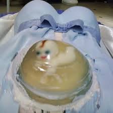 5 Disturbing Way Too Literal Baby Shower Cakes Nsfw Oc Weekly