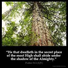 PSALMS 91:1 KJV "He that dwelleth in the secret place of the most High  shall abide under the shadow of the Almighty."