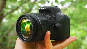Best Beginner Dslr Camera 2020 Youtube We've factored in all the things a beginning photographer might be considering, including price, and have come up with our picks for the best beginner cameras available right now.