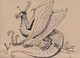 Two wingbones extend outward from the shoulder joint, running almost in series to each other, but separated by the 'elbow', the bones forming the 'lub'. I Did A Fairy Dragon Design Comments And Critiques Are Welcome As I M Uncertain Of The Dragon S Anatomy Learnart