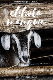 Offbeat India Chhota Mangwa West Bengal Two Together In 2020 West Bengal Offbeat Bengal