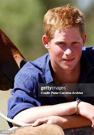 2,547 Harry Bull Stock Photos, High-Res Pictures, and Images