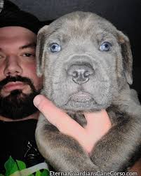 Welcome new community members