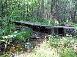 Aktivitäten in der nähe von grand isle state park auf tripadvisor: Grand Isle State Park Trail Finder