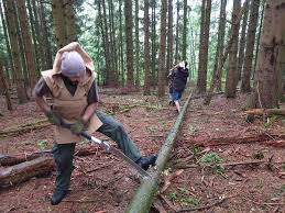 We did not find results for: Je Fais Mon Bois De Chauffage Sans Tronconneuse La Cabane Fieutee