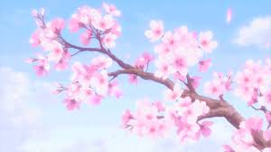 For items that are consumed from use of another item, see ammunition. Cherry Blossom High Quality Anime Background Gif Novocom Top