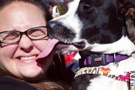 Fundraiser by Rachel Crouch : Support for Animal Rescuer's Recovery