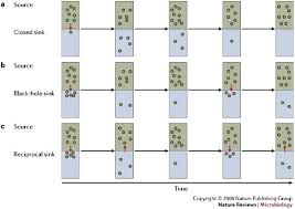If you are looking for perfect kitchen sink, then you can take a look on it. Source Sink Dynamics Of Virulence Evolution Nature Reviews Microbiology