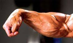 Forearm Training How To Grow Massive Forearms Forearms Are One Of The Most Difficult Muscles To Grow Forearm Training Forearm Workout At Home Forearm Workout