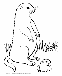 Groundhog day activities coloring pages are a fun way for kids of all ages to develop creativity, focus, motor skills and color recognition. Groundhog Day Activity Sheets Coloring Home