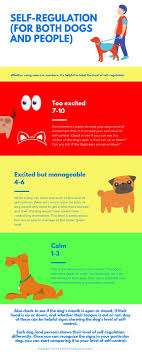 We did not find results for: Psychiatric Service Dogs