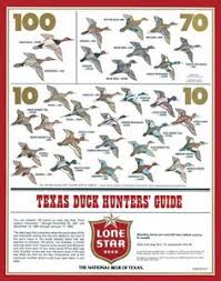 40 Best Duck Identification Images Duck Identification
