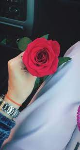 New Wallpaper Celular Rosa Vermelhas 57 Ideas Rose Tumblr Red Rose Tumblr Love Rose Flower