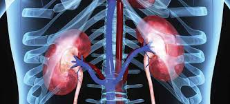 A renal disease can be attributed to a variety of causes which, include genetics, injuries and medicine. Chronic Kidney Disease A Useful Guide Personal Alarms Lifeline24