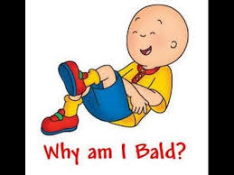 He has hosted dash's secret treasure and dash's dance party. Why Is Caillou Bald Will He Ever Grow Hair Youtube
