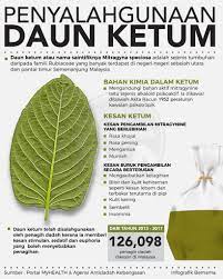Katanya, soal siasat ke atas suspek mendapati dia mendapatkan bekalan daun ketum itu daripada seorang lelaki di kampung triang, di jelebu, dengan harga rm50 sekilogram. Bernama A Twitteren Infografik Penyalahgunaan Daun Ketum