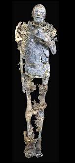 Cardioprotective effect of mumie (shilajit) on experimentally induced myocardial injury. Die Mumie Der Hatschepsut Die Mumie Der Antike Kunst Agypten Agypten Antike Der Die Hatschepsut Kun Egypt Museum Egyptian Mummies Egypt Mummy
