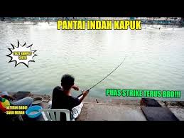 Mancing Strike Terus Sangat Puas Di Pemancingan Pantai Indah Kapuk Tiket 3jt Youtube