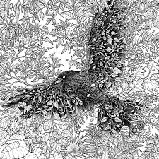 Fantomorphia An Extreme Coloring And Search Challenge By Kerby Rosanes Coloring Books Coloring Book Art Abstract Coloring Pages