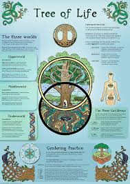 Tree Of Life Infographic A3 Poster Tree Of Life Meaning Spirit Science Tree Of Life