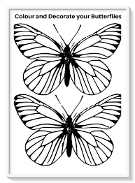 Los Mas Lindos Dibujos De Mariposas Para Colorear Y Pintar A Todo Color Imagenes Prontas Par Mariposas Para Colorear Dibujos De Mariposas Mariposas De Colores