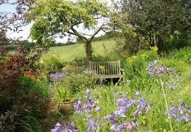 Carol Klein S Glebe Cottage Garden Google Search Dream Garden Cottage Garden Scent Garden